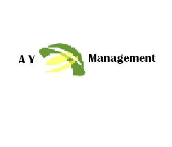 A Y Management Services logo