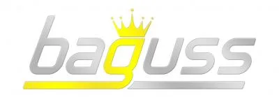 BAGUSS ENTERPRISE logo