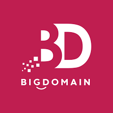 BigDomain Sdn Bhd logo