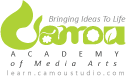 Camou Academy logo