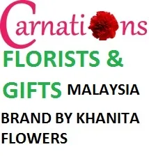 Carnations Gifts logo