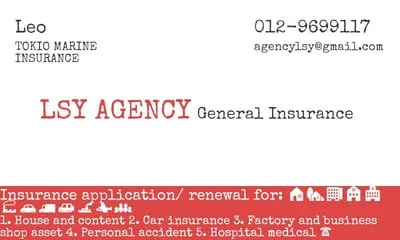 LSY AGENCY INSURANCE logo