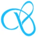 SYN System Solutions logo