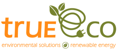 True Eco Sdn Bhd logo